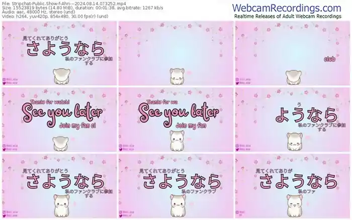 stripchat-ahri---08-14-2024-07-32-52