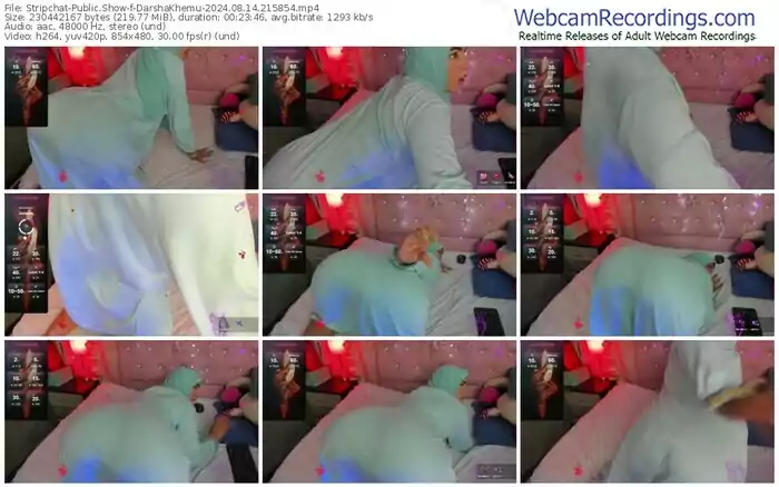 stripchat-darshakhemu-08-14-2024-21-58-54