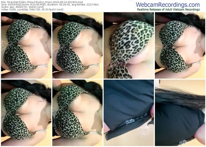 stripchat-evelyn_moon-08-14-2024-00-16-03