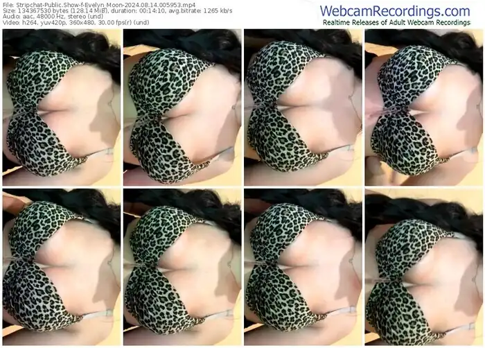stripchat-evelyn_moon-08-14-2024-00-59-53