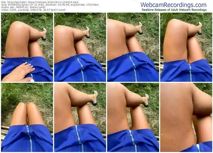 stripchat-felinae-08-14-2024-15-40-24