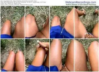 stripchat-felinae-08-14-2024-16-10-50