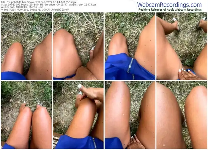 stripchat-felinae-08-14-2024-16-10-50