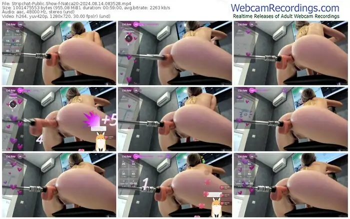 stripchat-natca20-08-14-2024-08-35-28