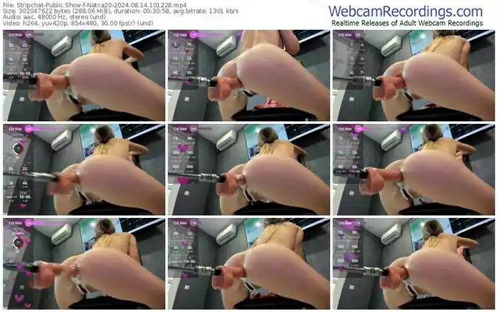 stripchat-natca20-08-14-2024-10-12-28