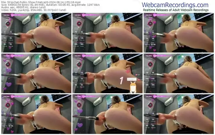 stripchat-natca20-08-14-2024-10-51-18