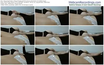 stripchat-premiumprincesses-08-14-2024-13-48-22