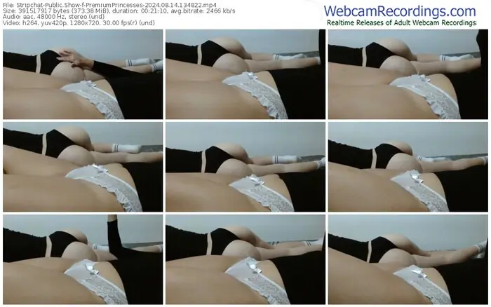 stripchat-premiumprincesses-08-14-2024-13-48-22