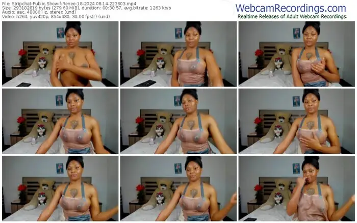 stripchat-renee-18-08-14-2024-22-36-03