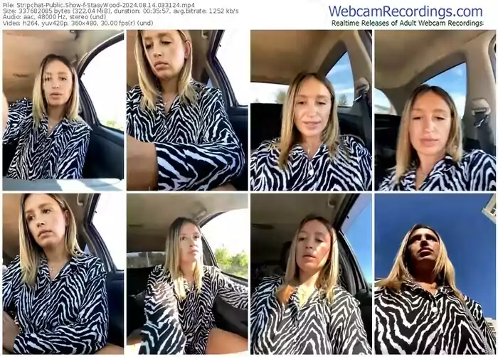 stripchat-stasywood-08-14-2024-03-31-24