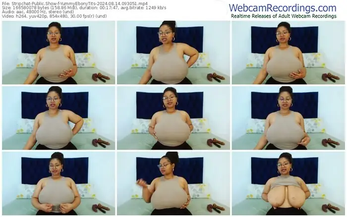 stripchat-yummyebonytits-08-14-2024-09-30-51