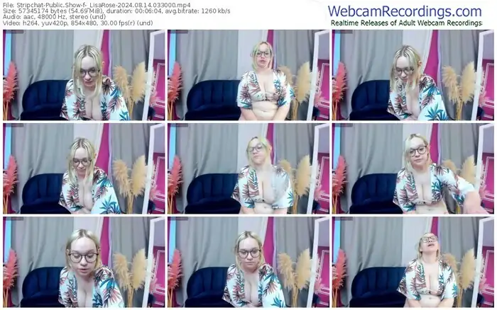 stripchat-_lisarose-08-14-2024-03-30-00