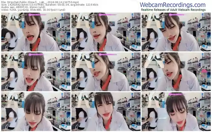 stripchat-__lab__-08-14-2024-13-47-53