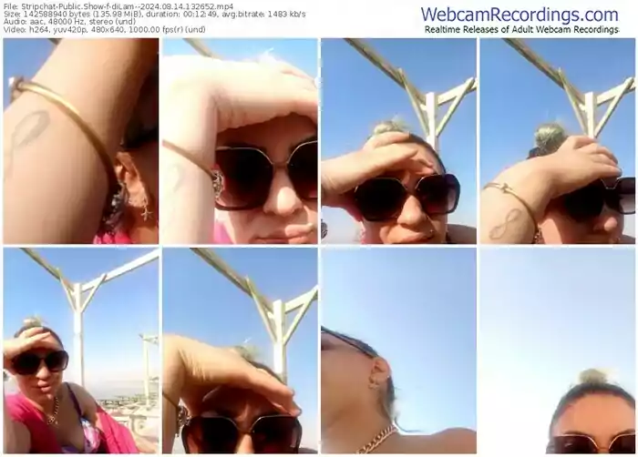 stripchat-dilam--08-14-2024-13-26-52
