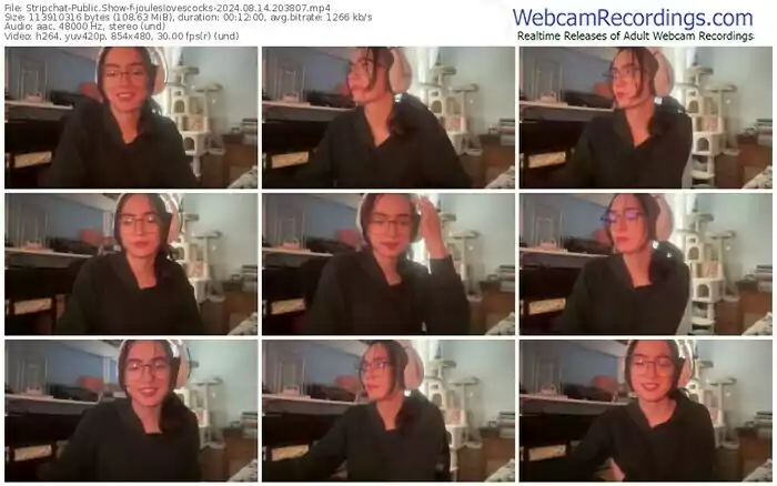 stripchat-jouleslovescocks-08-14-2024-20-38-07