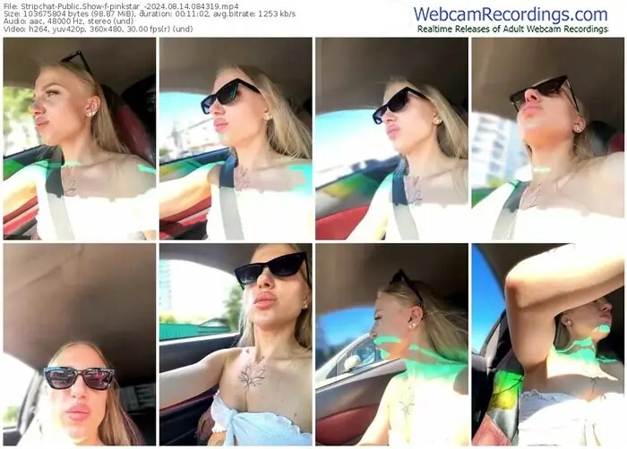 stripchat-pinkstar_-08-14-2024-08-43-19