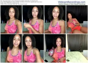 stripchat-thepeachwobbler-08-14-2024-19-20-47