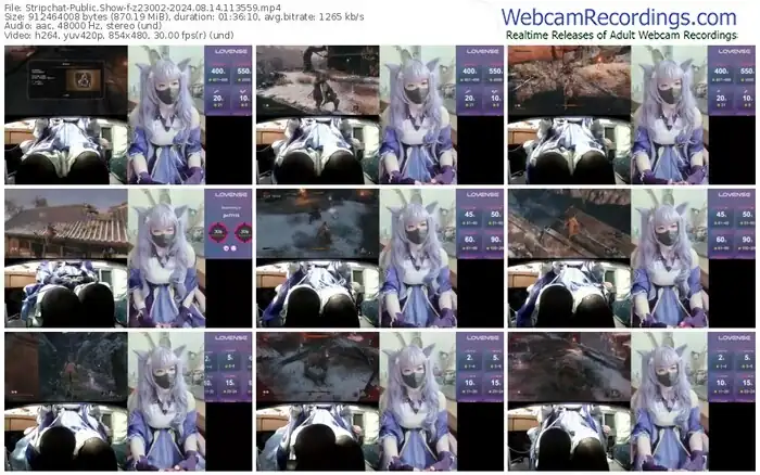 stripchat-z23002-08-14-2024-11-35-59