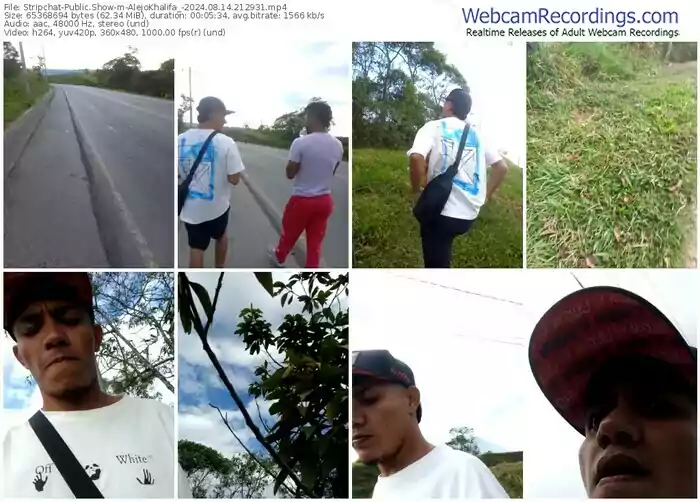 stripchat-alejokhalifa_-08-14-2024-21-29-31
