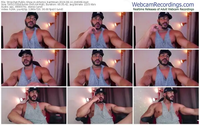 stripchat-artemis_kazttman-08-14-2024-23-40-48