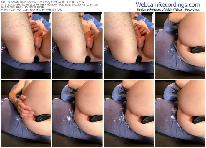 stripchat-cookieboy88-08-14-2024-06-02-17