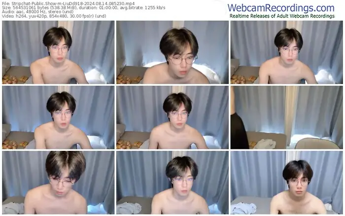 stripchat-liudd918-08-14-2024-08-52-30