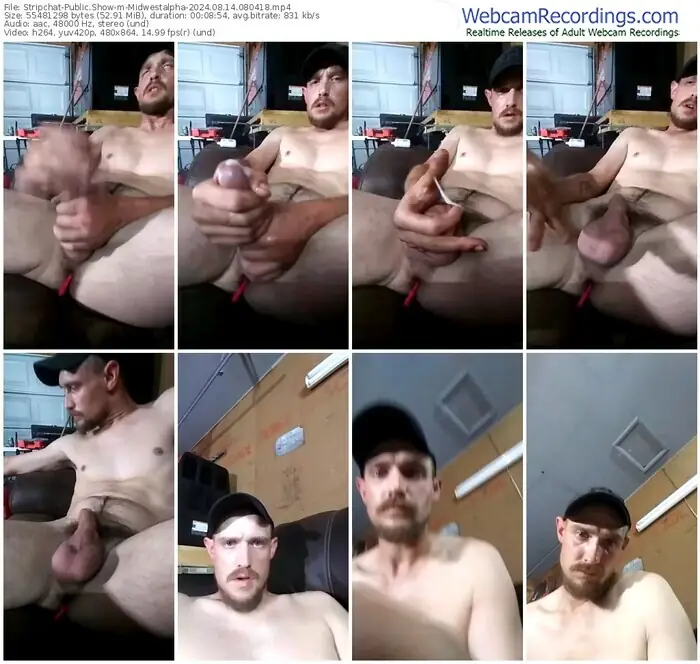 stripchat-midwestalpha-08-14-2024-08-04-18