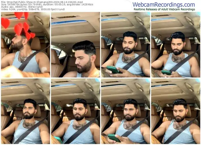 stripchat-shamang269-08-14-2024-19-42-41