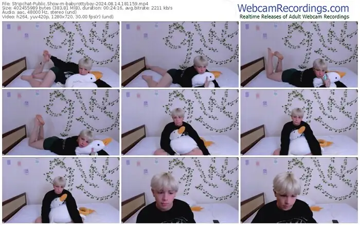 stripchat-babyrottyboy-08-14-2024-18-11-59