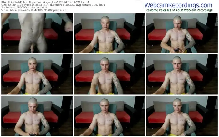 stripchat-maks_wolfis-08-14-2024-19-57-31