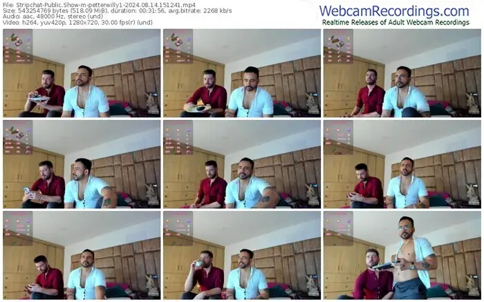 stripchat-petterwilly1-08-14-2024-15-12-41