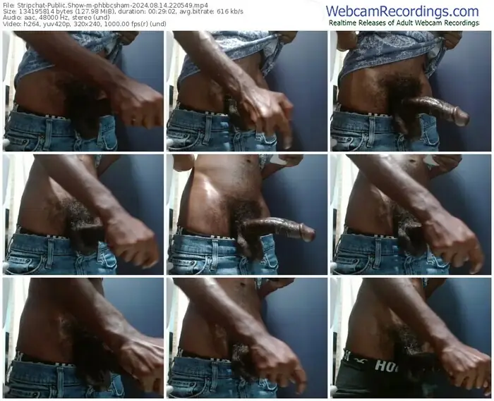 stripchat-phbbcsham-08-14-2024-22-05-49