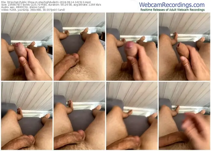 stripchat-stayhighdude01-08-14-2024-14-15-13