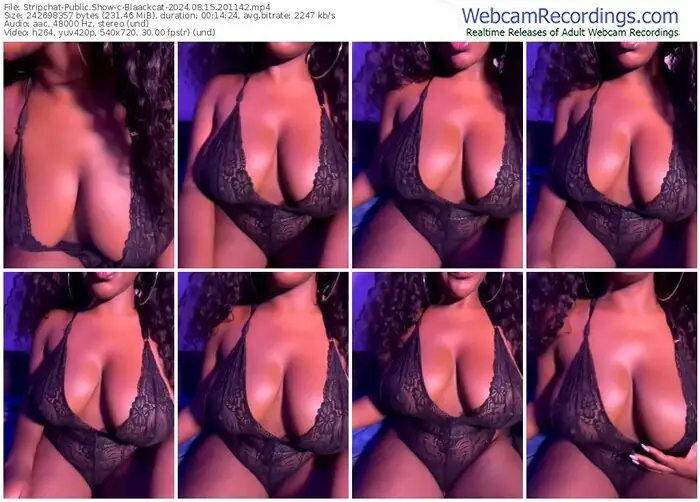 stripchat-blaackcat-08-15-2024-20-11-42