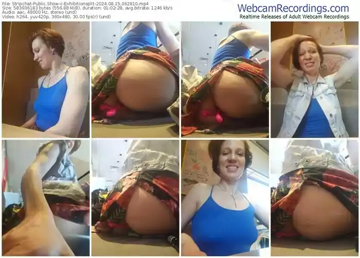 stripchat-exhibitionsplit-08-15-2024-06-28-10