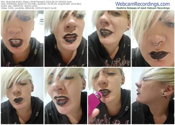 stripchat-pinkthehawk-08-15-2024-04-34-23