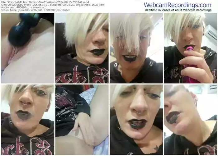 stripchat-pinkthehawk-08-15-2024-05-02-47