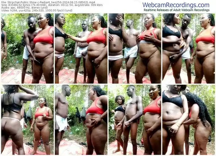 stripchat-rediant_two256-08-15-2024-08-56-21