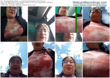 stripchat-__valentina18-08-15-2024-15-53-45