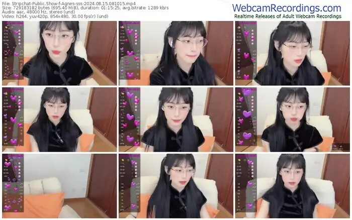 stripchat-agnes-sss-08-15-2024-08-10-15