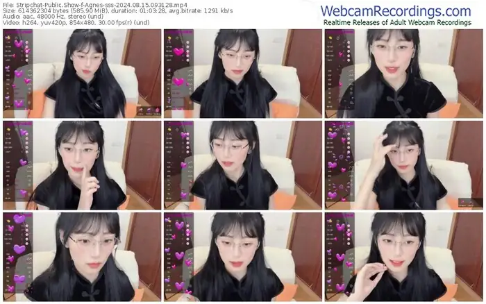 stripchat-agnes-sss-08-15-2024-09-31-28