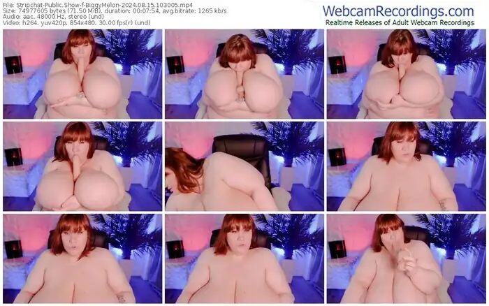 stripchat-biggymelon-08-15-2024-10-30-05