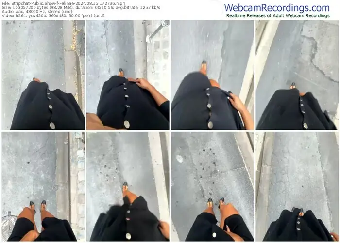 stripchat-felinae-08-15-2024-17-27-36