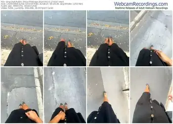 stripchat-felinae-08-15-2024-17-41-07