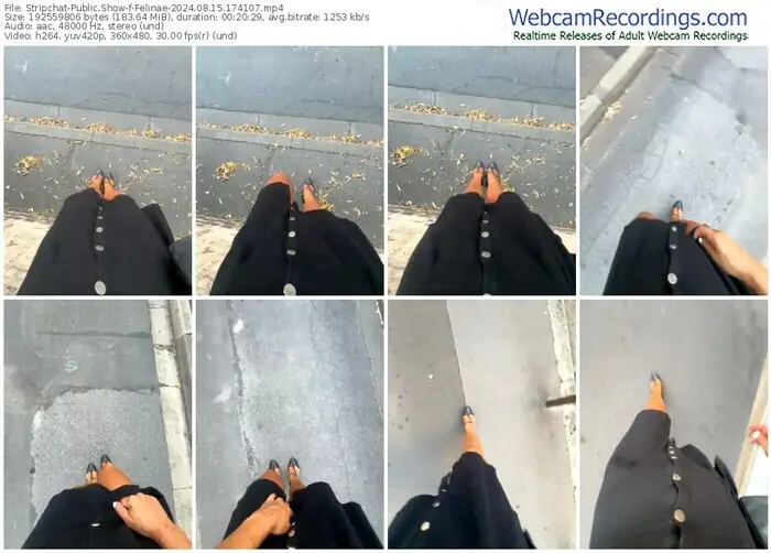 stripchat-felinae-08-15-2024-17-41-07