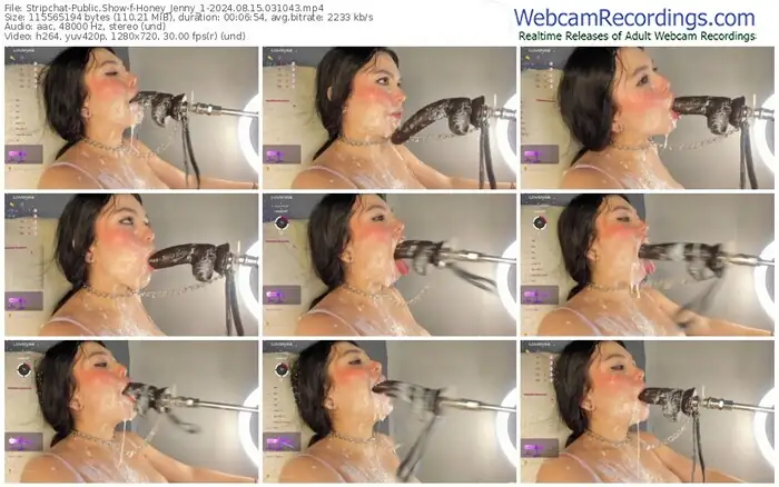 stripchat-honey_jenny_1-08-15-2024-03-10-43