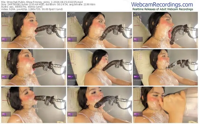 stripchat-honey_jenny_1-08-15-2024-03-22-35