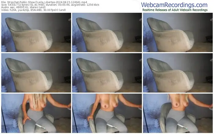 stripchat-leila_libertas-08-15-2024-12-46-41