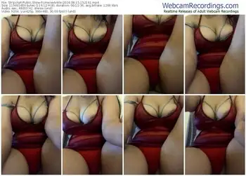 stripchat-unwiseankle-08-15-2024-15-21-41