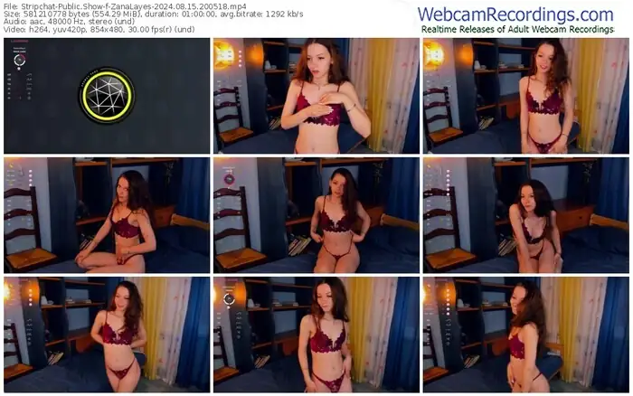 stripchat-zanalayes-08-15-2024-20-05-18